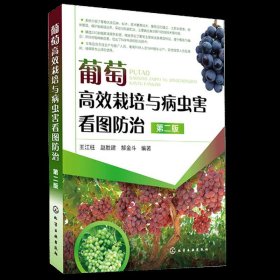 葡萄高效栽培与病虫害看图防治第二版诊断果树嫁接技术图解书农业书籍果树修剪书籍种植书籍大全葡萄种植书籍