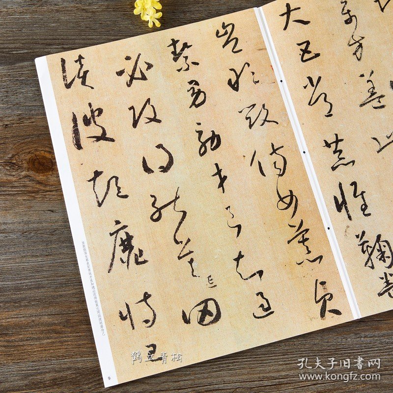 正版 怀素草书千字文 碑帖珍品临摹本 彩色放大本 繁体释文 草书毛笔书法字帖 孙宝文 吉林出版集团