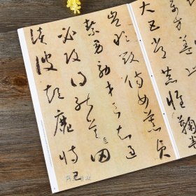 正版 怀素草书千字文 碑帖珍品临摹本 彩色放大本 繁体释文 草书毛笔书法字帖 孙宝文 吉林出版集团