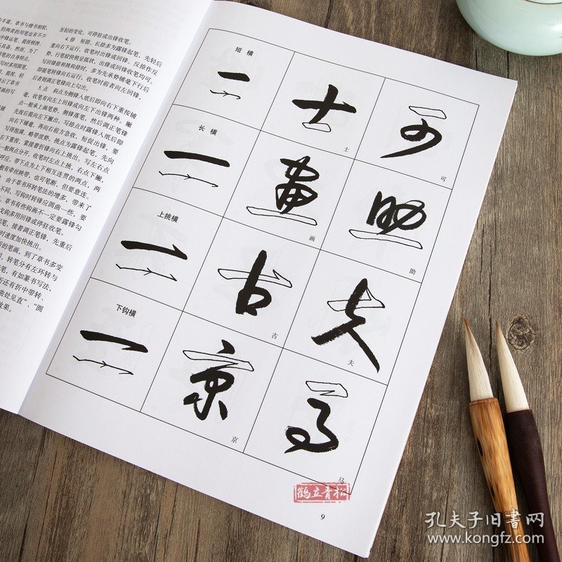 草书入门字谱 草书基础知识精讲 毛笔书法入门字帖书法基础知识讲解 笔法写法边旁部首解析 集字古诗碑帖临摹初学者自学课程教材书