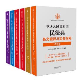 中华人民共和国民法典条文精释与实务指南丛书（全五册）