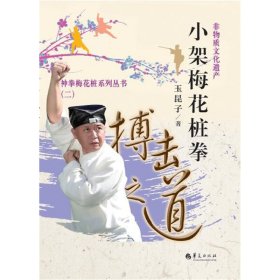 小架梅花桩拳