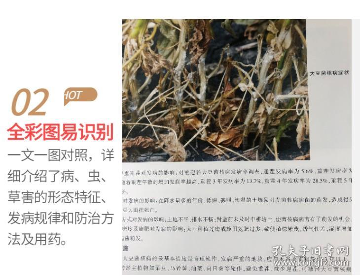 2022全新修订版  中国植保病虫害  中国植保病虫草害图谱大全暨防治宝典 张建平主编  正品全新