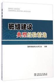 正版图书 班组建设典型经验精选 国网河南省中国电力9787512367722