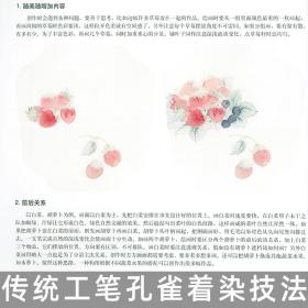 【全新正版】没骨蔬果画法 中国画名家画法解读 何红玉编绘 天津杨柳青画社 花卉画国画技法 构图技巧 写生创作 步骤临摹欣赏画法