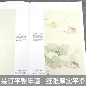 【全新正版】没骨蔬果画法 中国画名家画法解读 何红玉编绘 天津杨柳青画社 花卉画国画技法 构图技巧 写生创作 步骤临摹欣赏画法