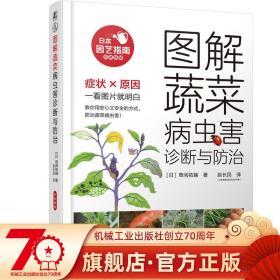 图解蔬菜病虫害诊断与防治