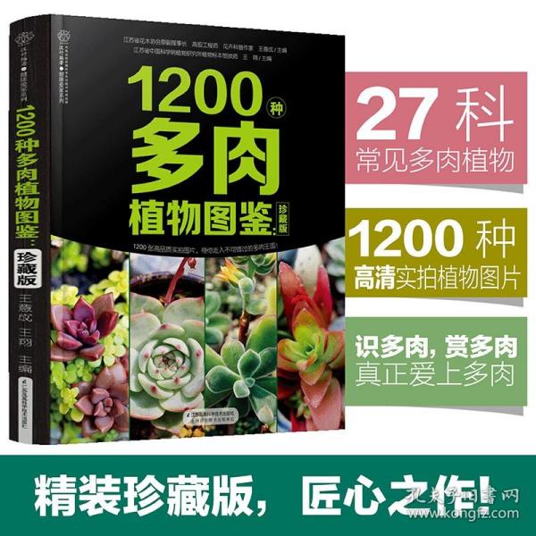 1200种多肉植物图鉴：珍藏版（汉竹）