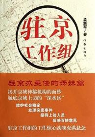 驻京工作组 孟新军 著 《驻京办主任》姊妹篇 作家出版社