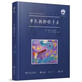 AME科研时间系列医学图书010 单孔胸腔镜手术