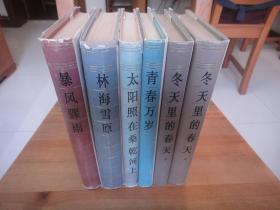 中国现代长篇小说丛书：青春万岁、冬天里的春天、林海雪原、暴风骤雨、太阳照在桑乾河上（共6册私藏品好）