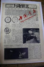 北晨画刊（第五卷第8期）