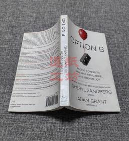 Option B
