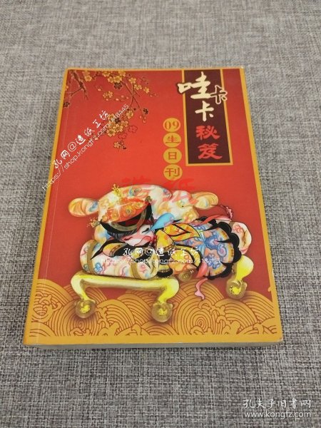 哇卡卡秘笈09生日刊（李宇春）
