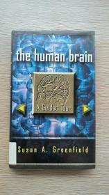 国内现货-【原版】The Human Brain: A Guided Tour《人脑：导览》