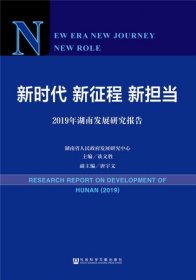 新时代新征程新担当——2019年湖南发展研究报告