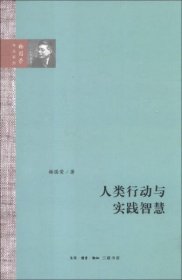 人类行动与实践智慧（杨国荣作品系列）