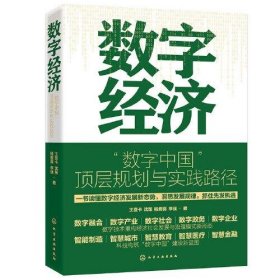 数字经济：“数字中国”顶层规划与实践路径