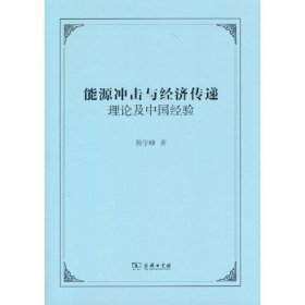 正版能源冲击与经济传递：理论及中国经验