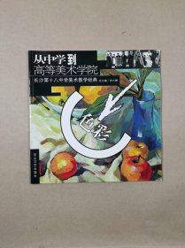 从中学到高等美术学院.长沙第十八中学美术教学经典：色彩