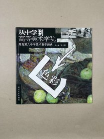 从中学到高等美术学院.青岛第六中学美术教学经典：色彩