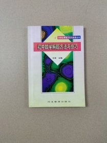 中学生解题方法与技能丛书：初中数学解题方法与技巧