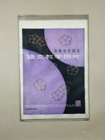 初级中学课本语文第五册教学图片（全套9幅缺第1幅）