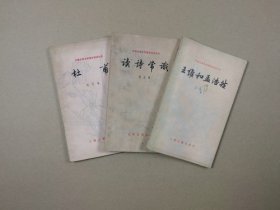 中国古典文学基本知识丛书：读诗常诗+杜甫+王维和孟浩然（3本合售）