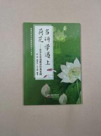 当研学遇上荷花：中学生劳动教育经典案例