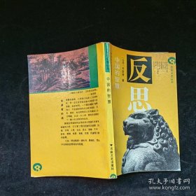 反思  中国的智慧