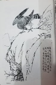 孙其峰书画谱-白描画稿