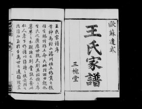 【提供资料信息服务】萧山车里庄王氏家谱 (中国, 浙江省, 萧山县) 1917 王庆洛 三槐堂 1512页 （家谱族谱家乘宗谱资料）