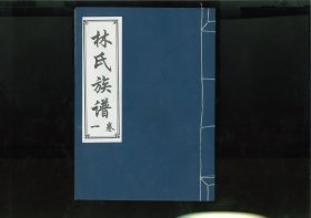 林氏族谱七卷（山东省济宁市汶上县）7册完整，始迁祖濂（字会海，谥十老），明洪武殿试武探花、陕西上安府协镇后节，率子果亦辞莆田而归故土，定居于肥城北于家庄，迨后永皇北巡随驾征讨歇兵汶上，遂建宅于汶上，今靳口西林家老庄。后裔散居于汶上、梁山、嘉祥、济宁、郓城、台前、范县、阳谷、鄄城、平阴等地。