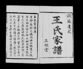 【提供资料信息服务】萧山车里庄王氏家谱 (中国, 浙江省, 萧山县) 1917 王庆洛 三槐堂 1512页 （家谱族谱家乘宗谱资料）