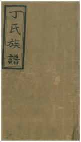 【提供资料信息服务】江西宜春晓溪丁氏族譜十二卷首二卷末二卷（江西省宜春市）残存12册（缺卷首二、卷末一）始迁祖时贵。