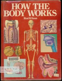 How the Body Works 英文原版- 《身体如何运作》