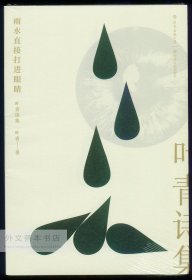 中文原版-《后浪书系，后浪文学，雨水直接打进眼睛：叶青诗集》