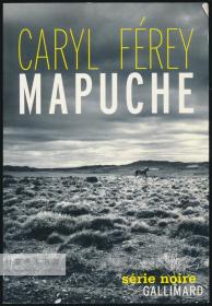 Mapuche 法文原版-《马普切人》