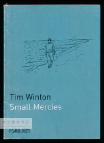 Small Mercies 英文原版-《小慈悲》