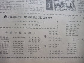 原版合订本：南方日报(1975年11月)苏方学赵世林表演唱、郑咏涛杂文、詹忠效甘迎祥宣传画、柳朗小演唱、一九七五年秋季广州中国出口商品交易会侧记、新民歌专刊、邓本圻刊头剪纸、连环画建成大寨县六条标准、广东省一九七五年夺煤会战先进个人名单、陈威赤彩宣传画、珊凯杂文、陈云清散文、记中山大学生物系动物教研室主任廖翔华、记广州部队一八一医院主治军医吴继恩、何国根《再改规划图》、黄英晃诗、瞿琮诗、龙敏散文等