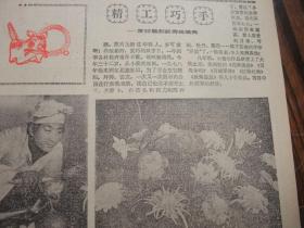 含《摄影天地》专刊创刊号原版合订本：辽宁日报(1986年2月)我省1985年体育十佳运动员简介、新春诗会(胡世宗鲁娟姚莹于宗信息唐一力杜德宽孙茂来孙丕任诗作)、沈延毅书法、烹饪雕刻新秀杨瑞亮、钟振林画作、春节专刊、《飞车世家》和蔡二宝、黄伯轩和无煤柱开釆、记老龙口酒厂酿酒工程师王彦、邵宇与杜鹃花、记真空冶金专家韩耀文、省政府追授潘思良荣誉称号大会、记高级工程师王征和、施晓伟散文、陈秀庭诗、田青诗等