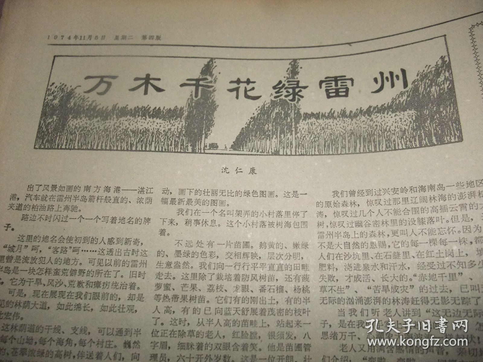 原版合订本：南方日报(1974年11月)馆藏品佳。沈仁唐散文《万木千花绿雷州》、毛主席接见外宾、杜应强版画《广积粮》、1974年全国跳水水球比赛大会侧记、黄火兴诗五首、记1974年秋季广州中国出囗商品交易会、东莞县太平镇红旗小学等三间小学革命儿歌选(叶旭春万永红欧灿光卢伟光陈映徽除珍陈肖娟胡培基王明珍李秀兰方惠英王永球陈向东陈建波黄玉珍罗润堆梁寿权王国强等学生儿歌)、广东省第二次贫下中农代表大会等