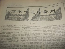 原版合订本：南方日报(1974年11月)馆藏品佳。沈仁唐散文《万木千花绿雷州》、毛主席接见外宾、杜应强版画《广积粮》、1974年全国跳水水球比赛大会侧记、黄火兴诗五首、记1974年秋季广州中国出囗商品交易会、东莞县太平镇红旗小学等三间小学革命儿歌选(叶旭春万永红欧灿光卢伟光陈映徽除珍陈肖娟胡培基王明珍李秀兰方惠英王永球陈向东陈建波黄玉珍罗润堆梁寿权王国强等学生儿歌)、广东省第二次贫下中农代表大会等