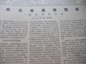 原版报合订本：人民日报(1981年3月)李景膺逝世、关于审判林彪江青集团案主犯的情况报告、访地质学家张文佑、曾绍抡追悼会、记山西兴县委书记白普、今日雷锋班、黄大能《忆念吾父黄炎培》、民盟副主席邓初民病逝、记南京大学副教授张福炎、罗舜初丧事从简办理、陈一民逝世、植物学家蔡希陶病逝、记罗舜初、我党的挚友余心清、女雕塑家作品选、刘王立明追悼会、浦熙修追悼会、缅怀何伟、悼念邓初民、周彪病逝、记栾茀等内容