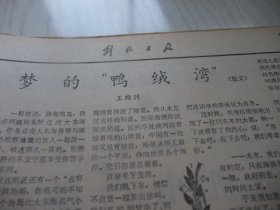 含国庆39周年专辑原版合订本：解放日报(1988年10月)哈定的水彩画、上海话剧演员陈怡(图)、王荣华书法、朱哂之散文、戚铮音逝世、陆斌《对上海 股份制试验的回顾与展望》、许梅书法、记青年演员孙智君、访医学专家夏镇夷、肖孔散文、裴高诗、作家师陀逝世、王本英逝世、杨扈朝书法、毛书征杂文、蔡国声书法、王维洲散文、金观涛《我的哲学探索》、访老中医姜春华、徐强逝世、余二良逝世、记石氏伤科第四代传人石仰山等