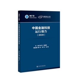 中国金融科技运行报告（2020）