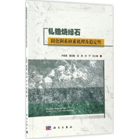 钆锆烧绿石固化锕系核素机理及稳定性