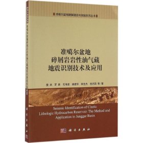 准噶尔盆地勘探理论与实践系列丛书：准噶尔盆地碎屑岩岩性油气藏地震识别技术及应用