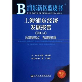 上海浦东经济发展报告