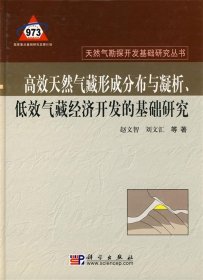 高效天然气形成分布与凝析、低效气藏经济开发的基础研究